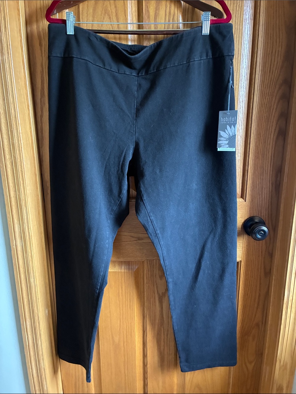 Habitat Women's Black pants